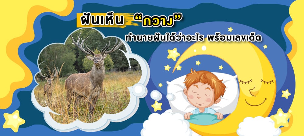 ฝันเห็นกวาง