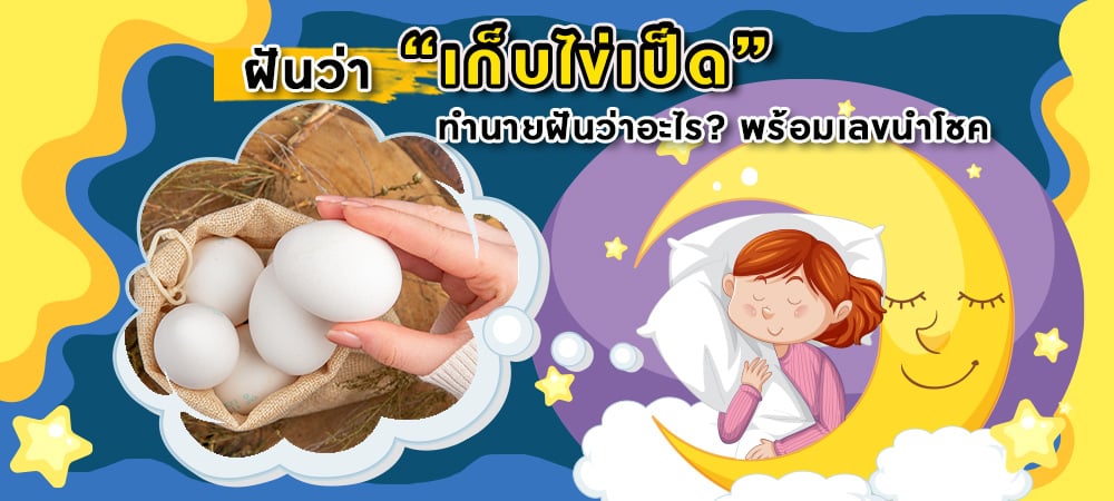 ฝันว่าเก็บไข่เป็ด